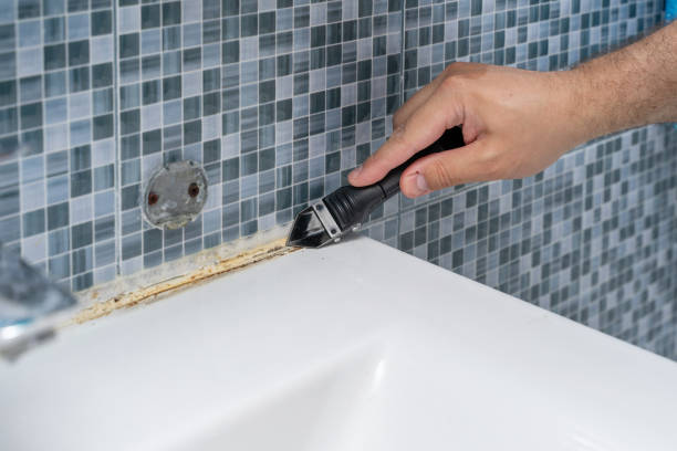 Best Post-Flood Mold Remediation in Gervais, OR